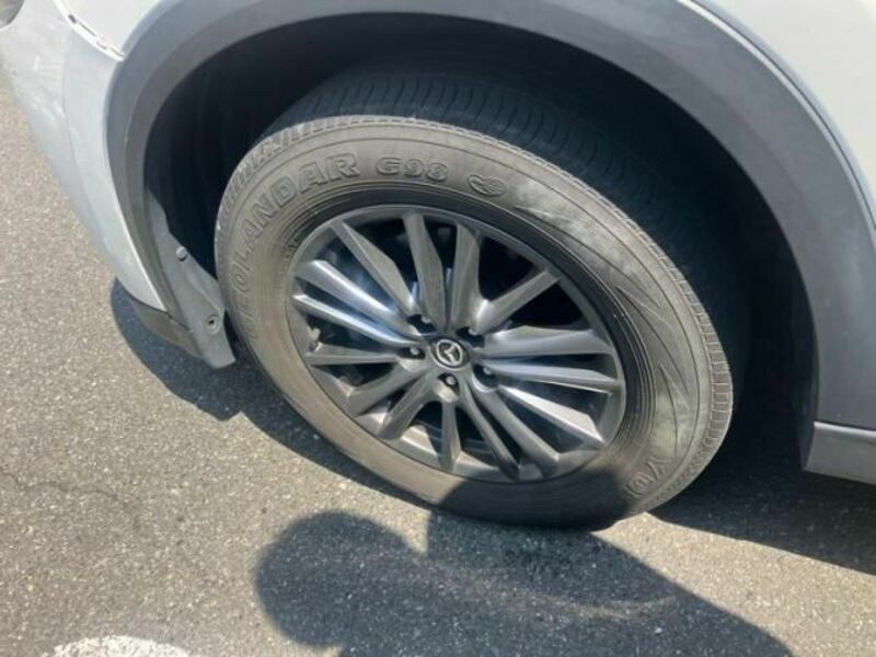 CX-8