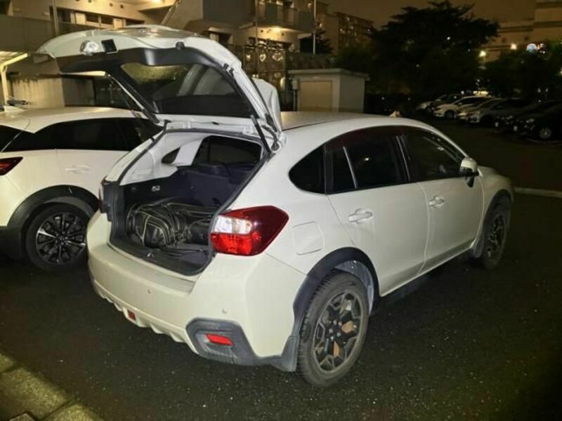 XV