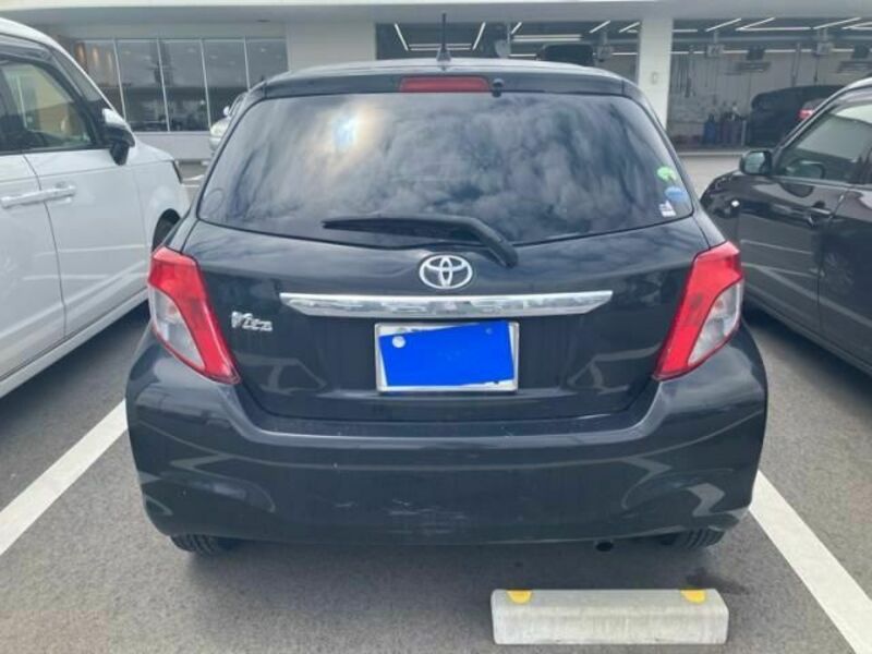 VITZ-1