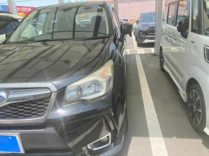FORESTER