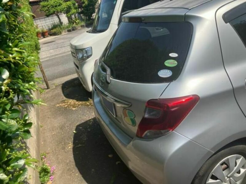 VITZ-3