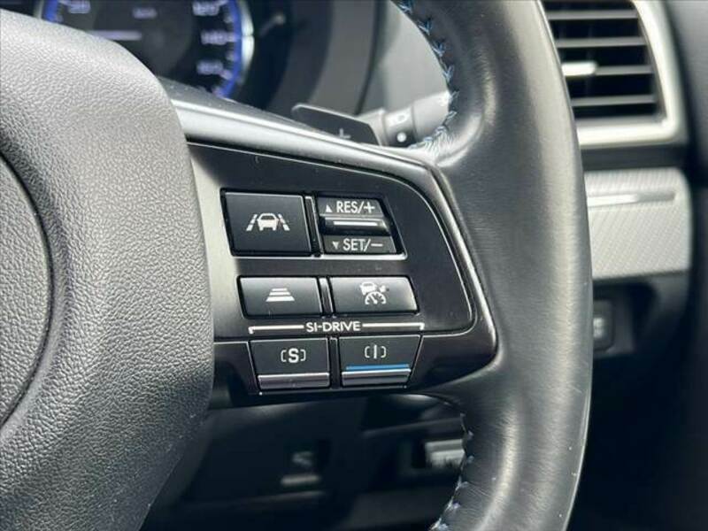 LEVORG-4