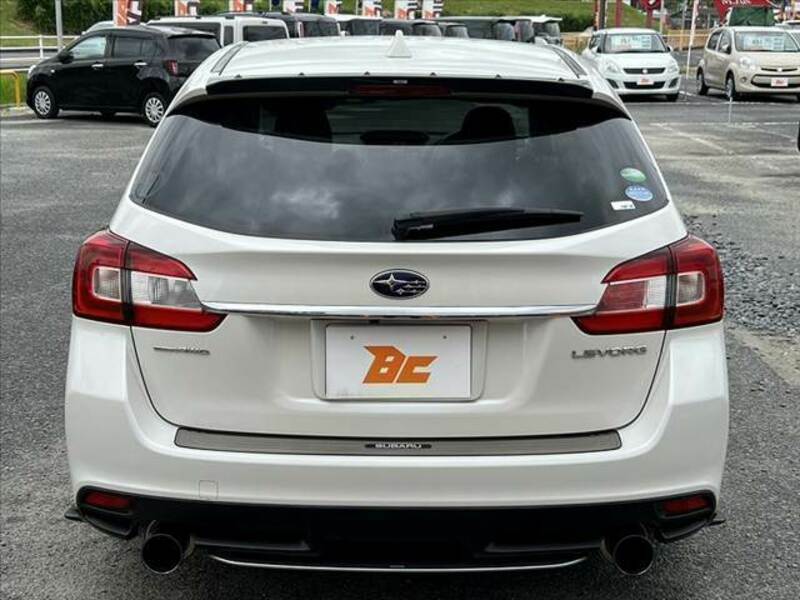 LEVORG-13