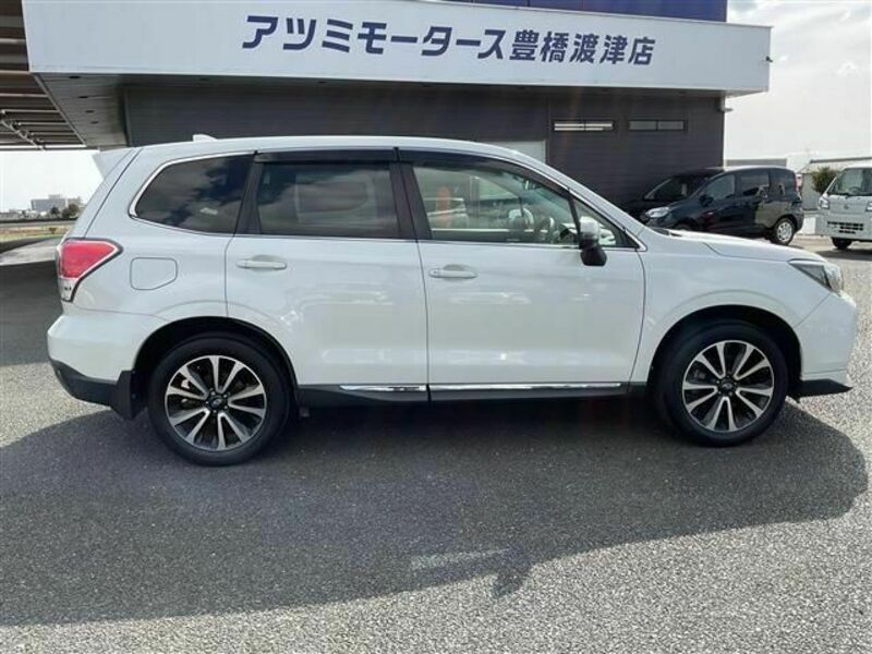 FORESTER
