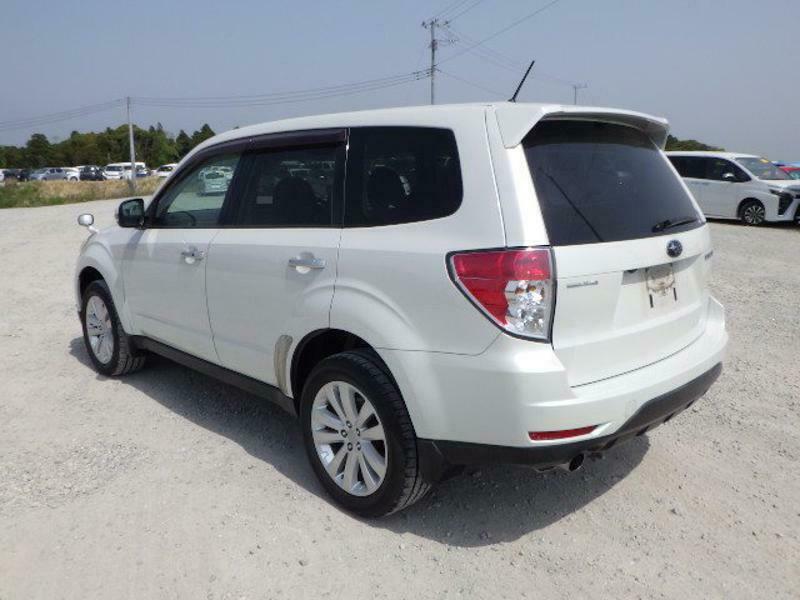 FORESTER