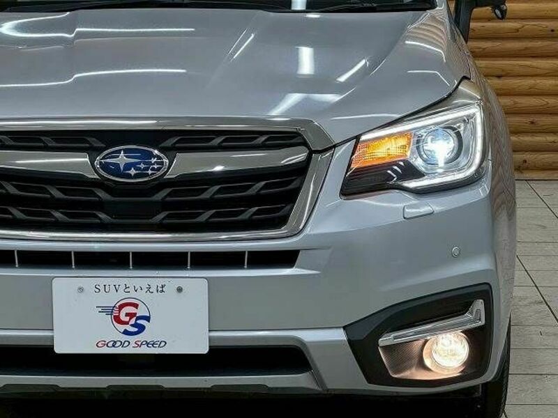 FORESTER-9
