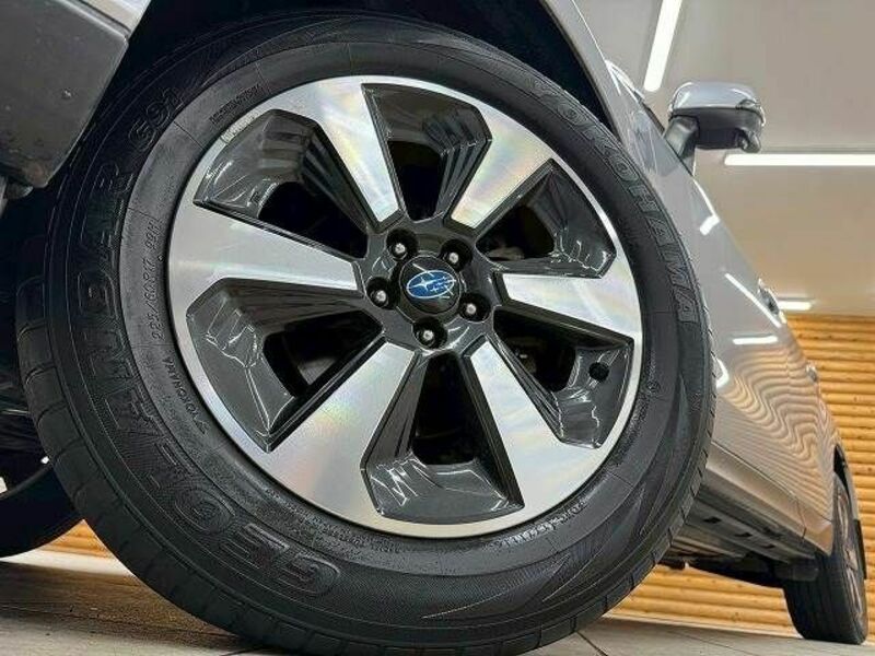 FORESTER-10