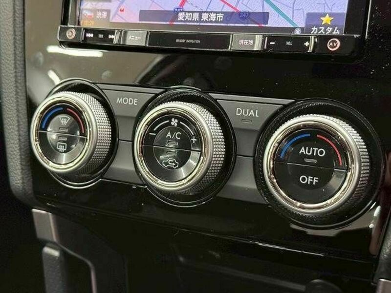 FORESTER-11