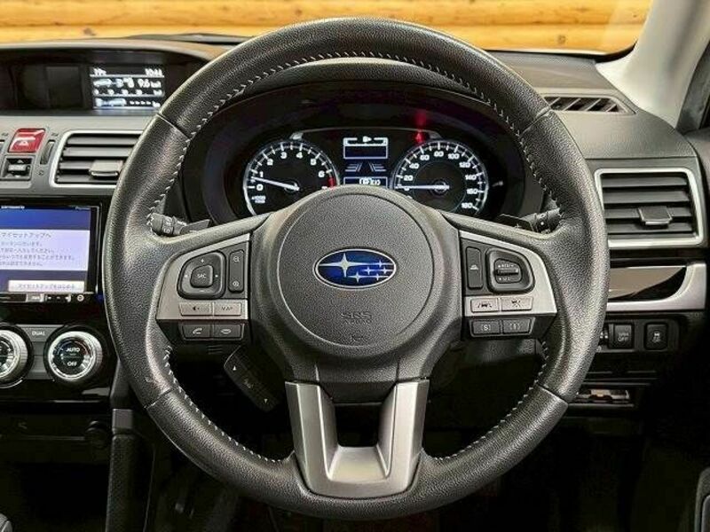 FORESTER-12