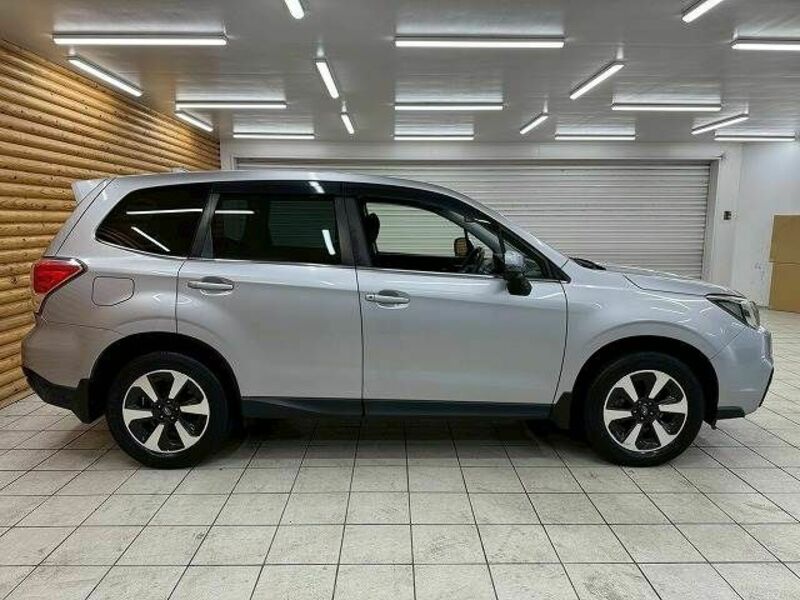 FORESTER-17