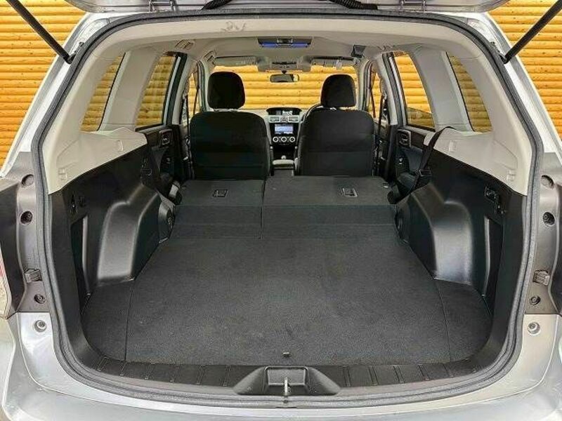 FORESTER-19