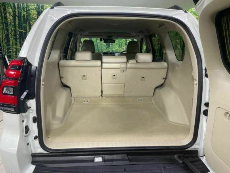 LAND CRUISER PRADO-10