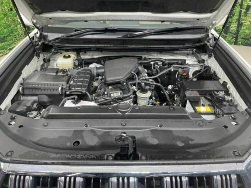 LAND CRUISER PRADO-18