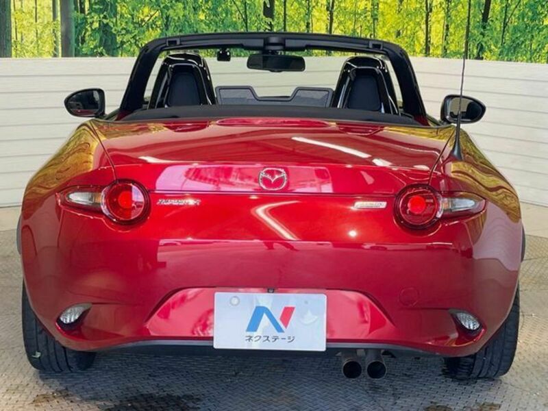 ROADSTER