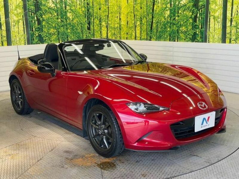 ROADSTER