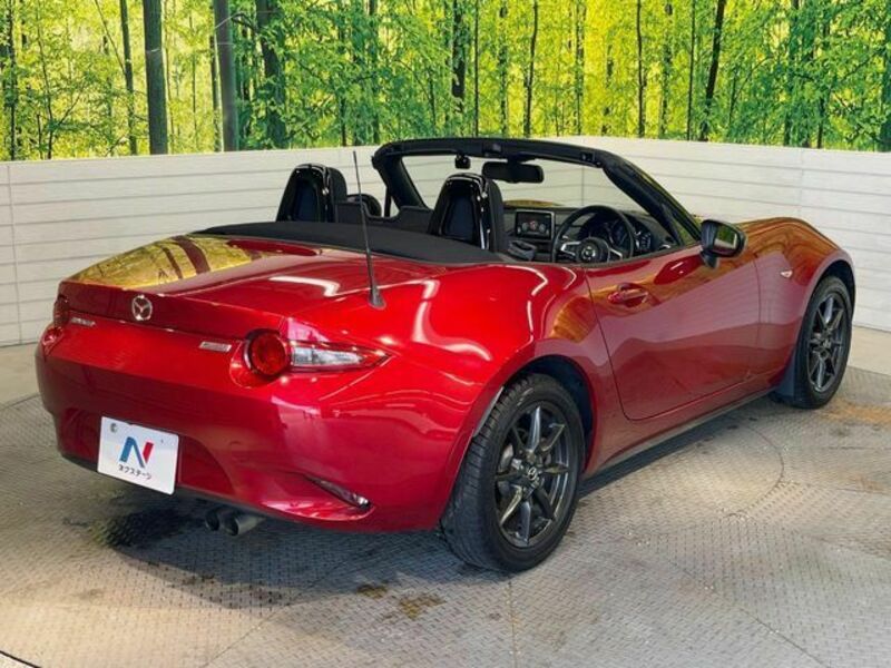 ROADSTER