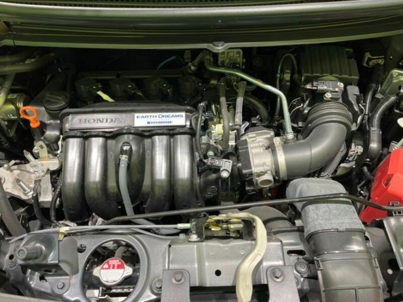 FREED HYBRID-17
