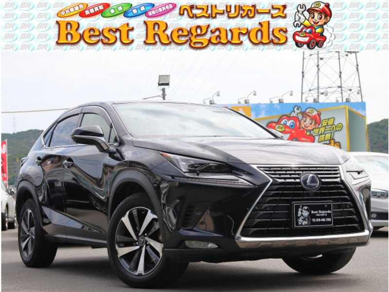 LEXUS NX
