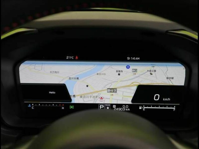 LEVORG