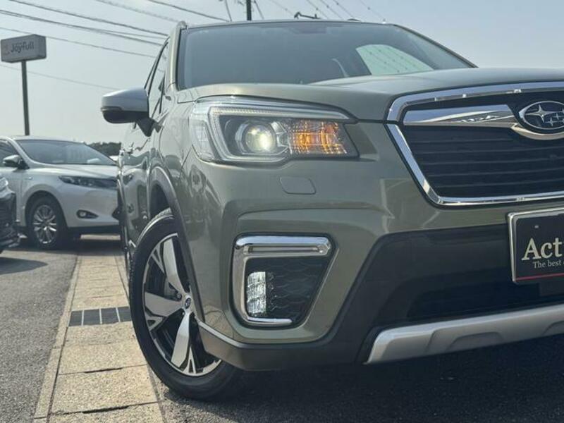 FORESTER
