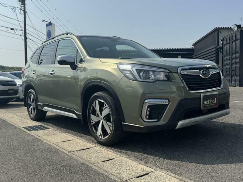 FORESTER