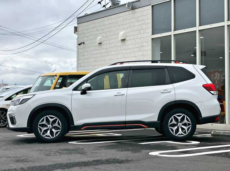 FORESTER