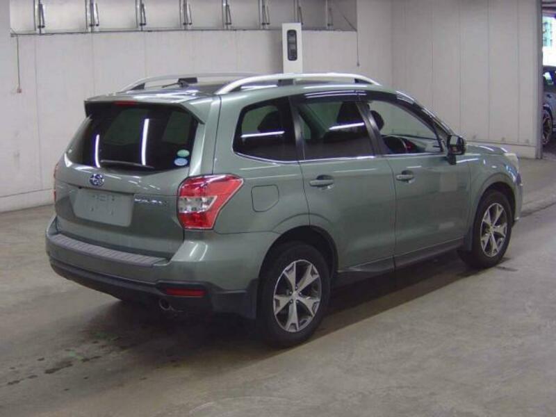 FORESTER