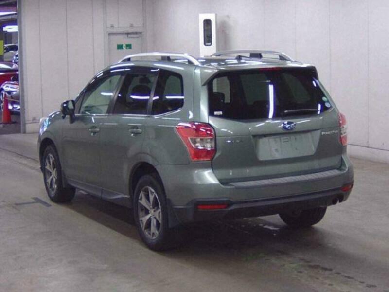 FORESTER