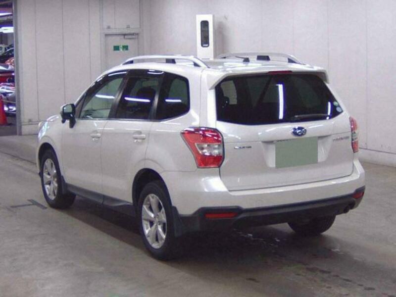 FORESTER-1