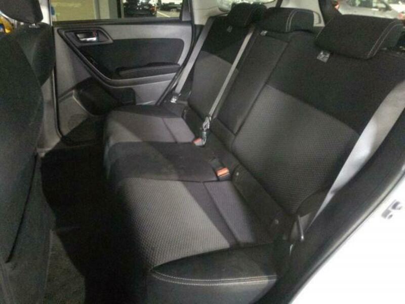 FORESTER-3