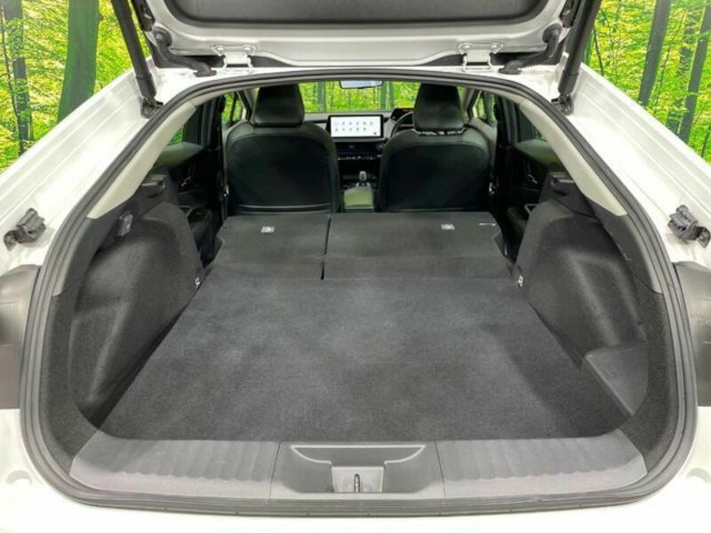 PRIUS-9