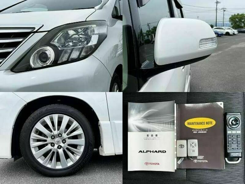 ALPHARD-6