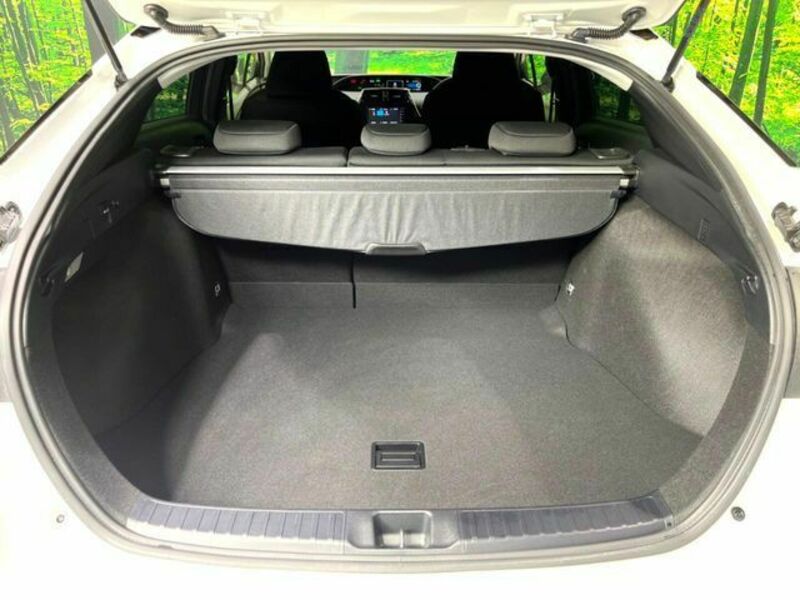 PRIUS-9