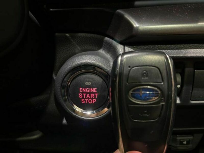 LEVORG-6