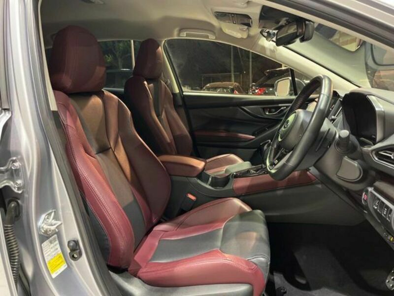 LEVORG-8