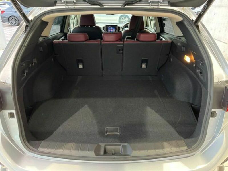 LEVORG-10
