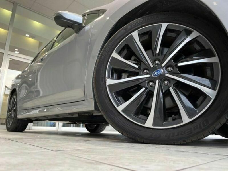 LEVORG-13