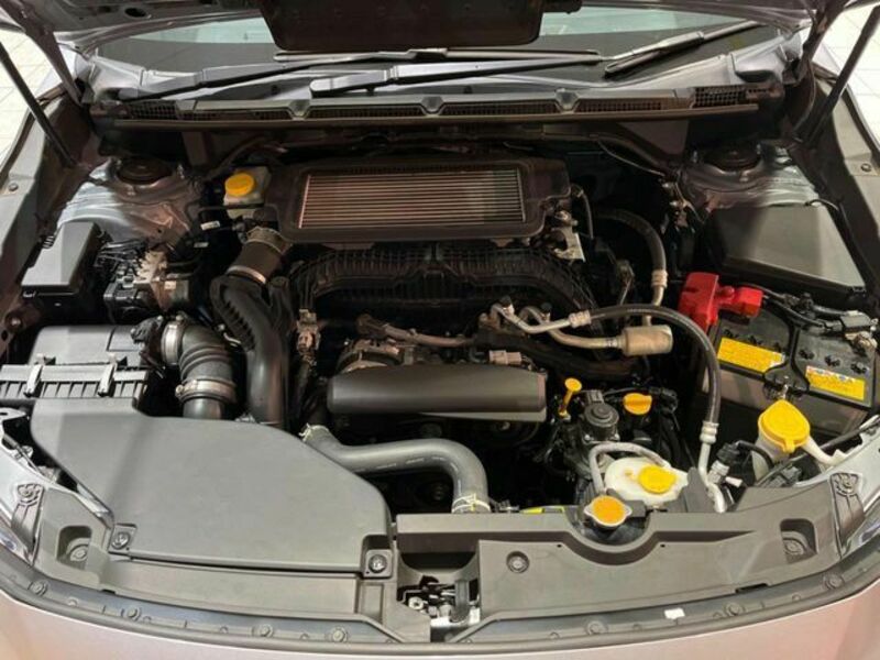 LEVORG-18