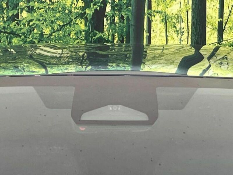 PRIUS-4