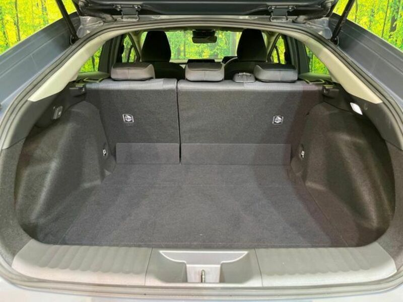 PRIUS-9