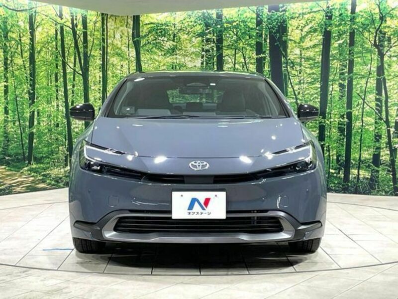 PRIUS-13