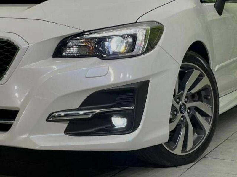 LEVORG