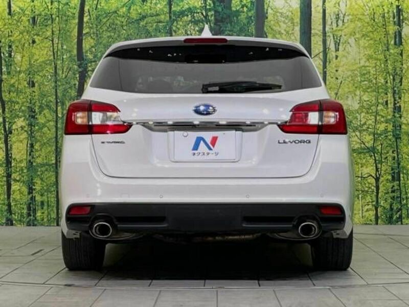 LEVORG