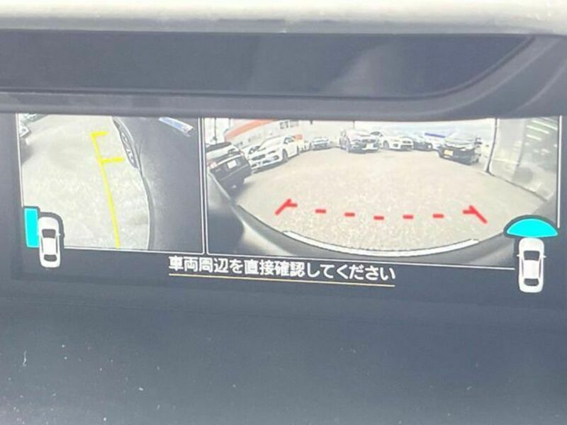 FORESTER-6
