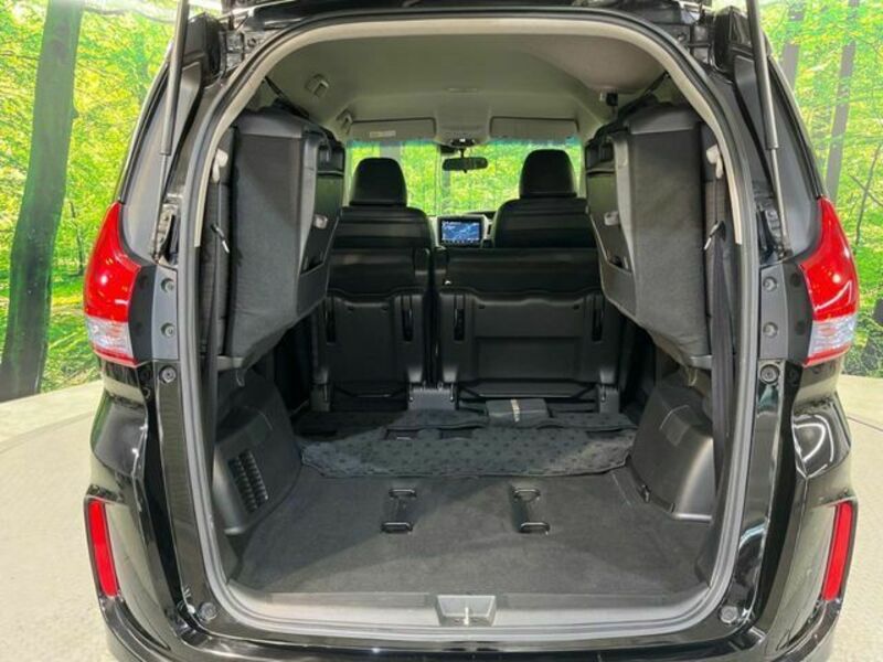 FREED HYBRID-11