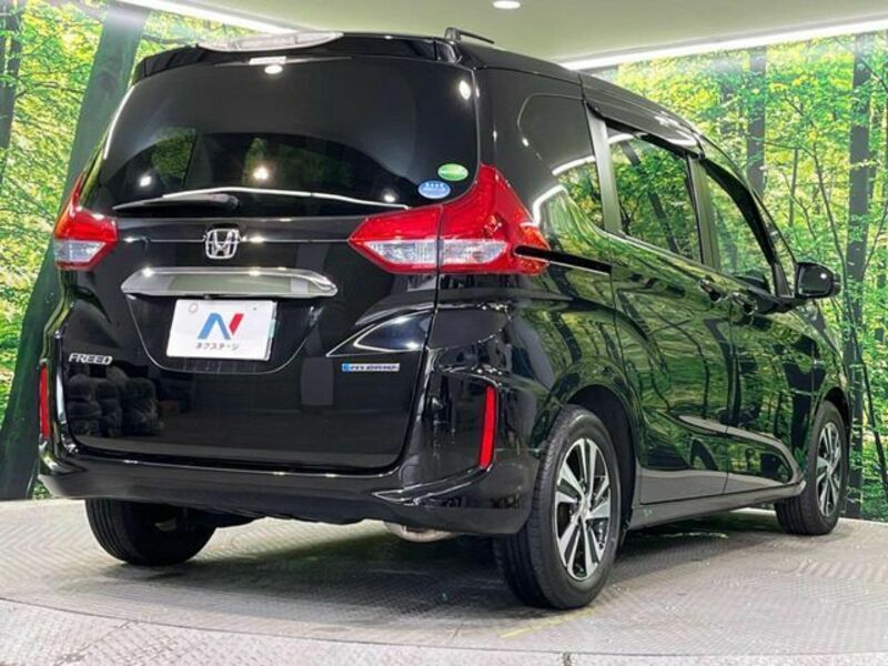 FREED HYBRID-18
