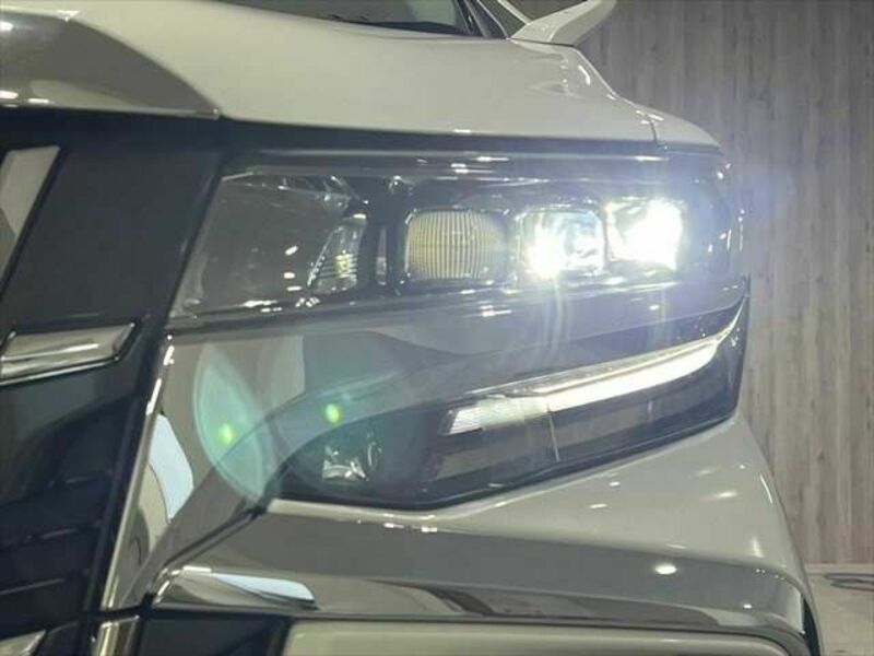 ALPHARD-14