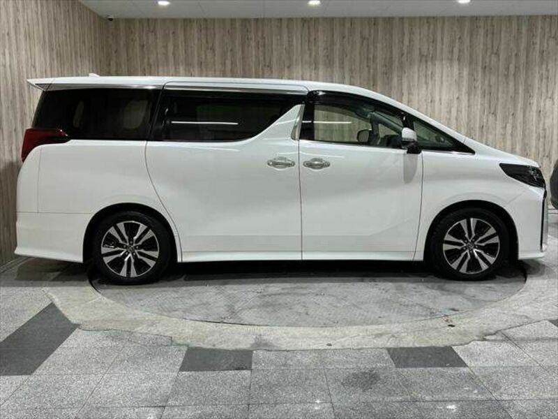 ALPHARD-19