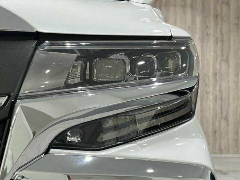 ALPHARD-25