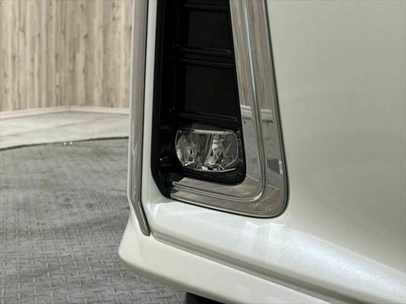 ALPHARD-26